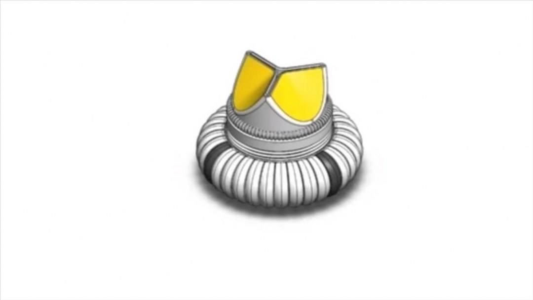 Mersin Üniversitesi Teknoloji Transfer Ofisi’nde geliştirilen kalp kapağının patenti alındı