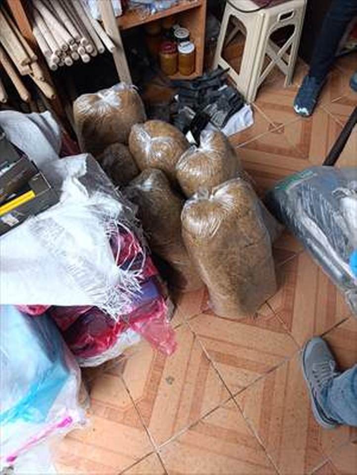 Kastamonu’da 99 bin 560 makaron ele geçirildi, 4 zanlı yakalandı