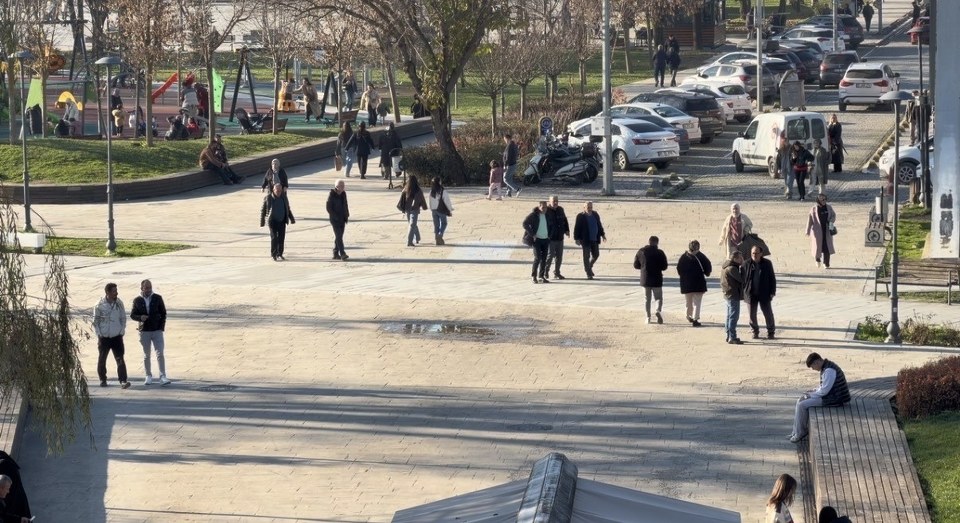 Domuz gribi vakalarında artış