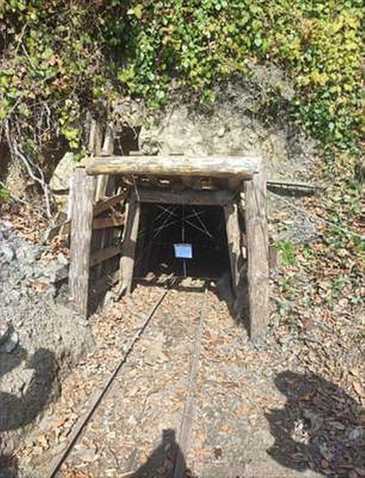 Zonguldak’ta ruhsatsız işletilen 8 maden ocağı imha edildi