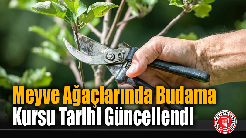 Meyve Ağaçlarında Budama Kursu Tarihi Güncellendi