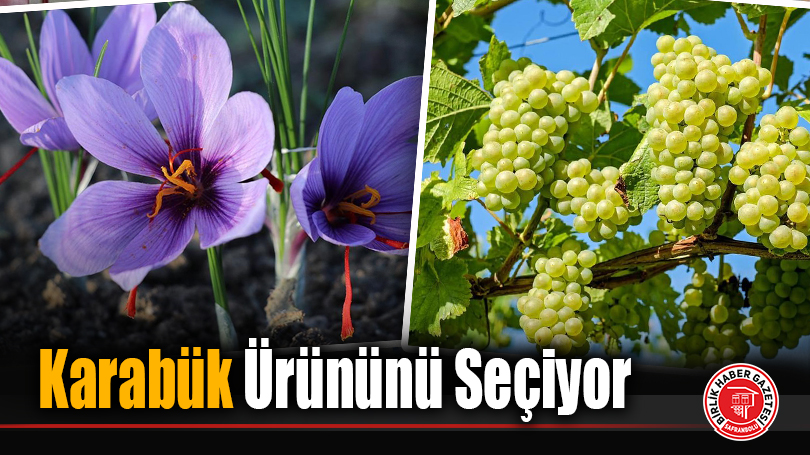 Karabük Ürününü Seçiyor