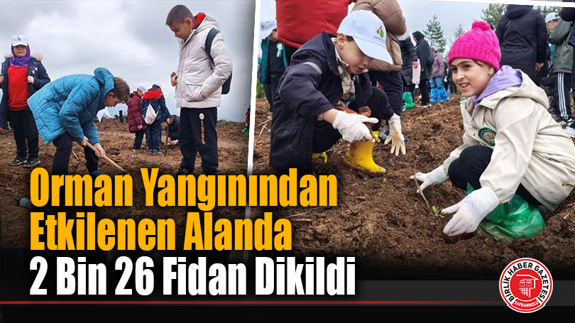 Orman Yangınından Etkilenen Alanda 2 Bin 26 Fidan Dikildi