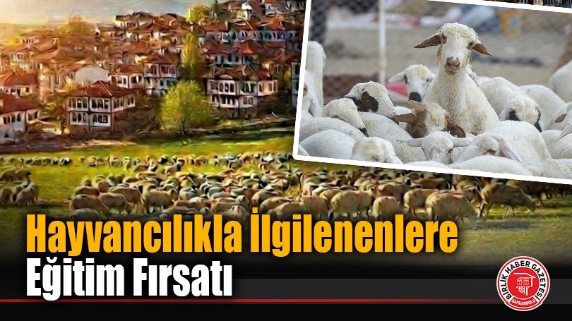 Küçükbaş Hayvan Yetiştiriciliği Kursu Safranbolu’da Başlıyor