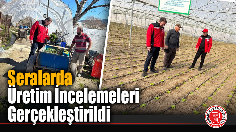Seralarda Üretim İncelemeleri Gerçekleştirildi