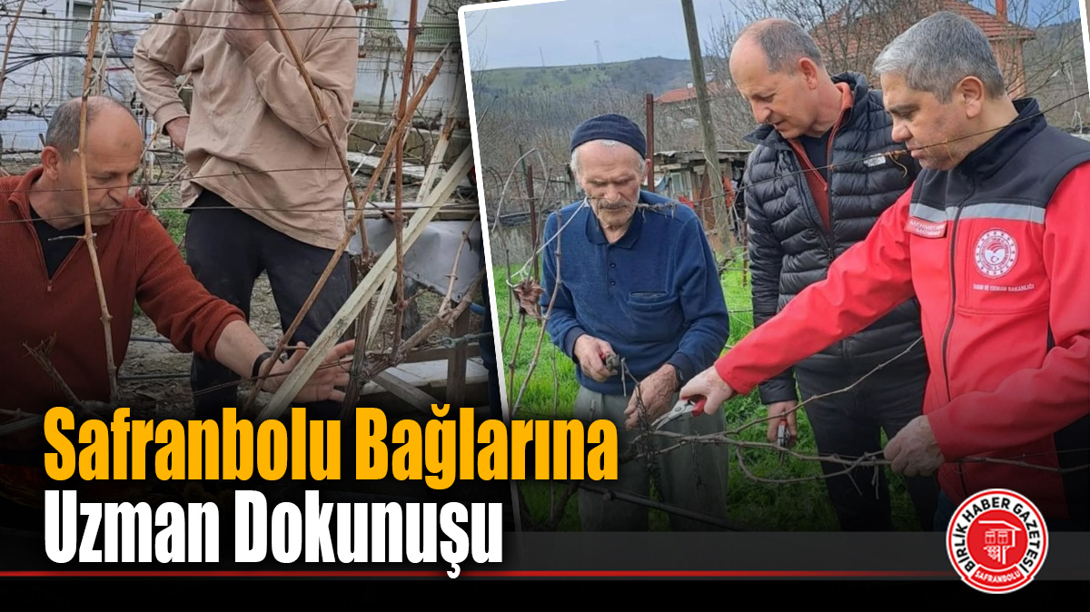 Safranbolu Bağlarında Entegre Mücadele Seferberliği: 4 Köyde Eğitim Verildi