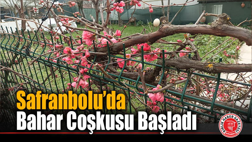 Safranbolu’da Bahar Coşkusu Başladı, Ağaçlar Çiçek Açtı