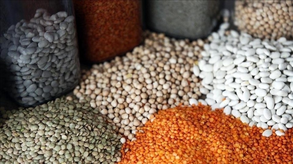 Güneydoğu Anadolu’dan yılın ilk 2 ayında 552,8 milyon dolarlık hububat ihracatı yapıldı