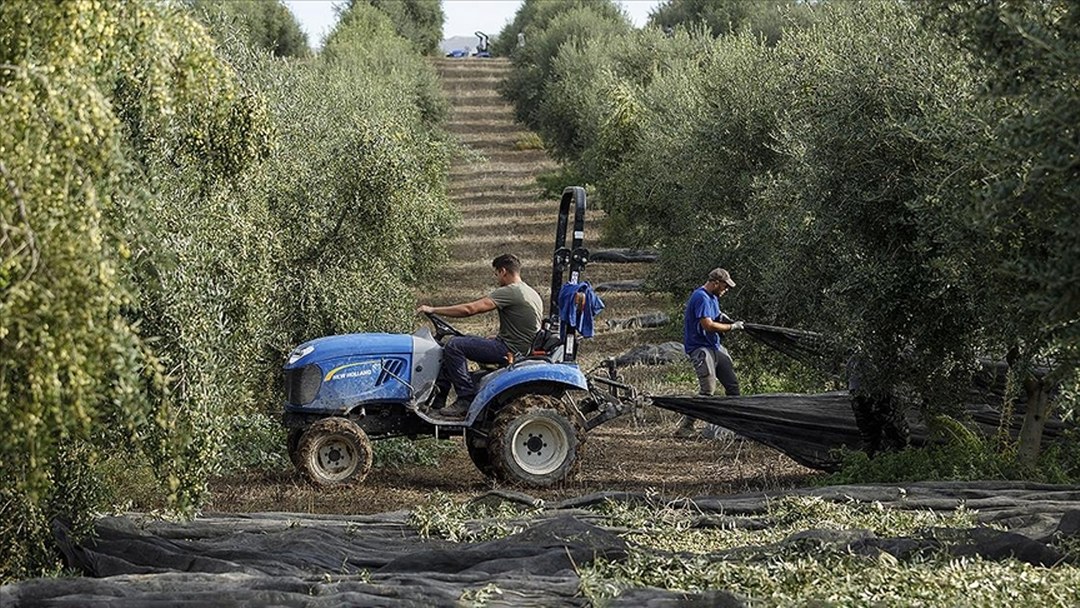 İspanya, Orta Doğu’daki çatışmaların etkilerine tedbir olarak tarım ve hayvancılığı destekleyecek