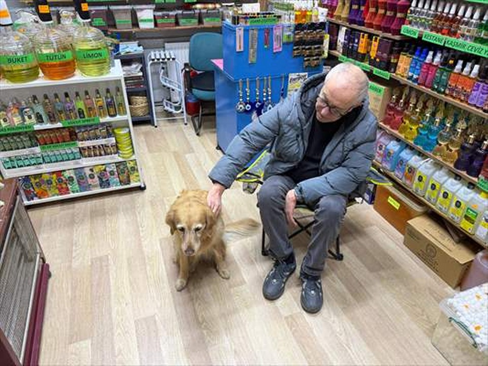 Hastalığına tanı konulamayan köpek sevginin gücüyle hayata bağlandı