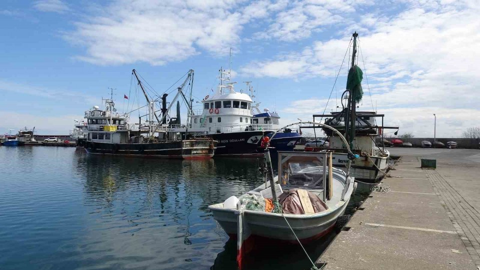 Balıkta bereketli sezon: “Halk bu yıl balığa doydu”