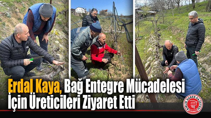 Erdal Kaya, Bağ Entegre Mücadelesi İçin Üreticileri Ziyaret Etti
