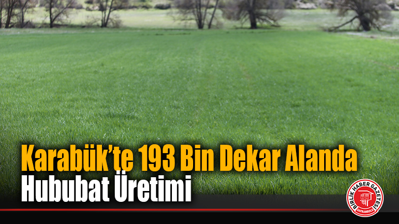 Karabük’te 193 Bin Dekar Alanda Hububat Üretimi
