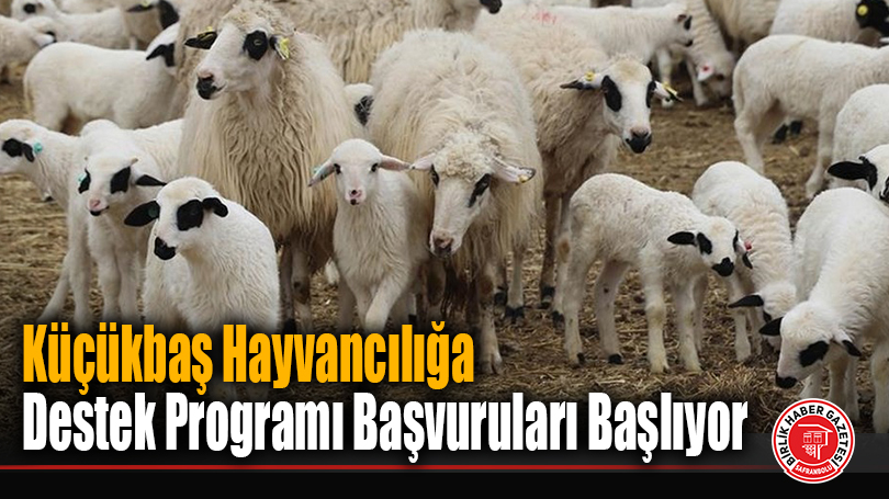 Küçükbaş Hayvancılığa Destek Programı Başvuruları Başlıyor