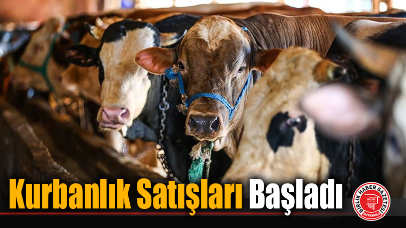 Kurbanlık Satışları Başladı