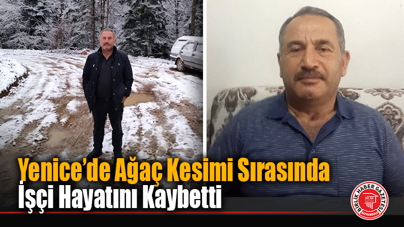 Yenice’de Ağaç Kesimi Sırasında İşçi Hayatını Kaybetti