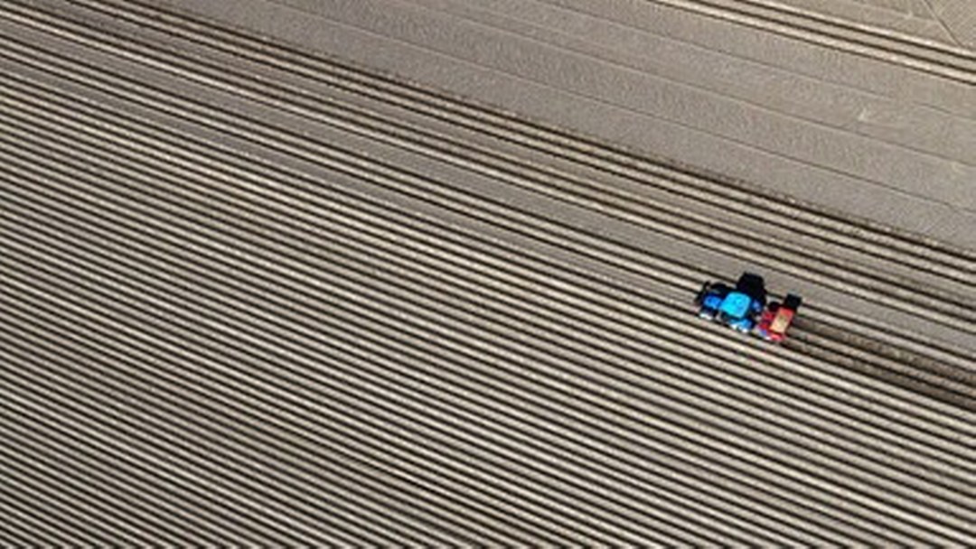 Körfez’deki savaşın mart ayında tarım sektörüne bütçesi belli oldu