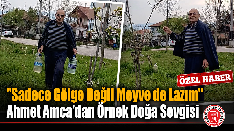 “Sadece Gölge Değil Meyve de Lazım”: Ahmet Amca’dan Örnek Doğa Sevgisi