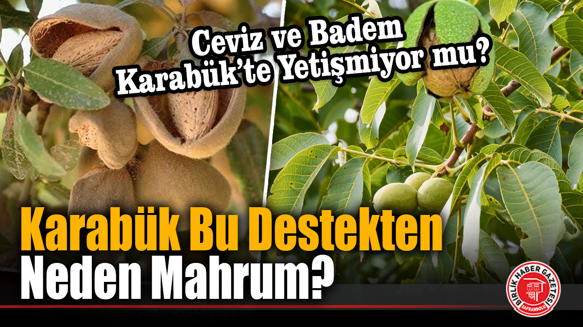 49 Yıllık Arazi Desteği Neden Karabük’e Kadar Gelemedi?