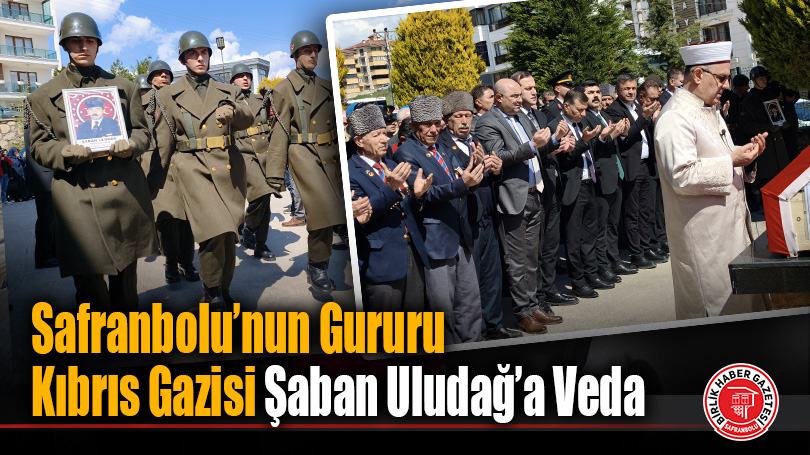 Safranbolu’da Bir Çınar Devrildi