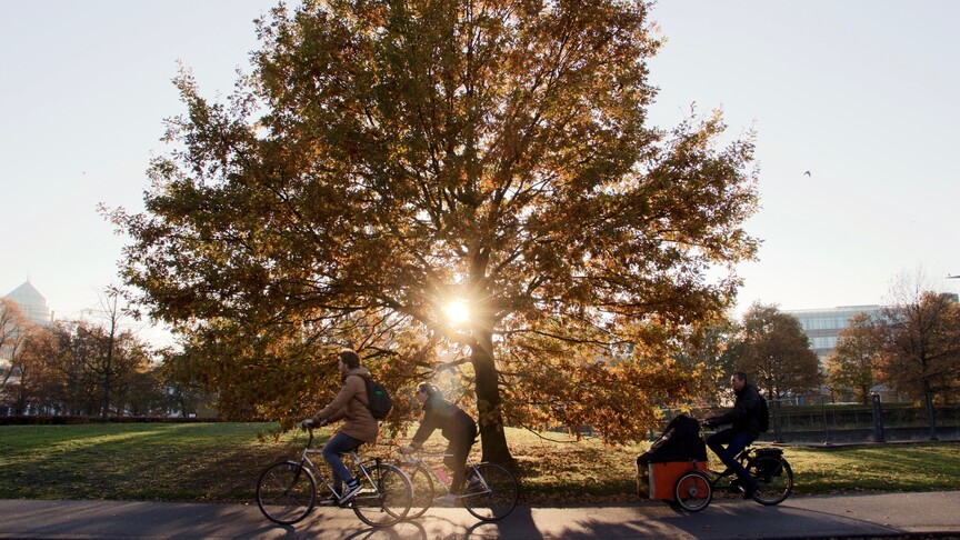 DSÖ’den, 2026 Dünya Sağlık Günü için “bilim odaklı sağlık” vurgusu