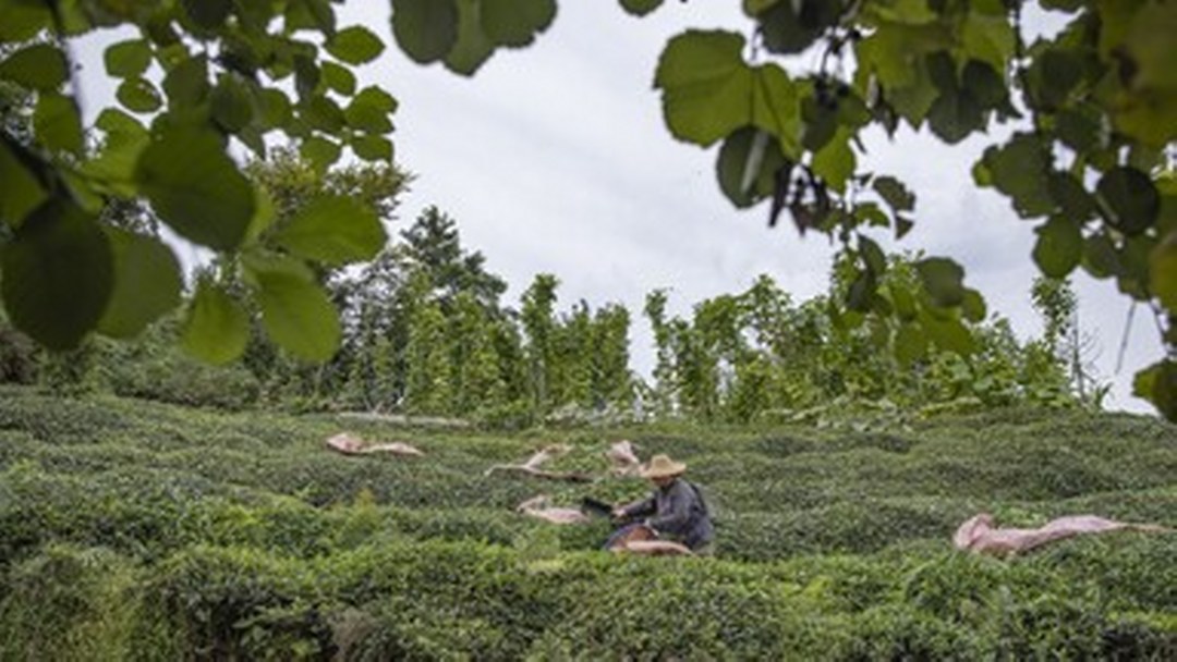 Karadeniz’de stratejik sektörlere yatırım yapan illere teşvik