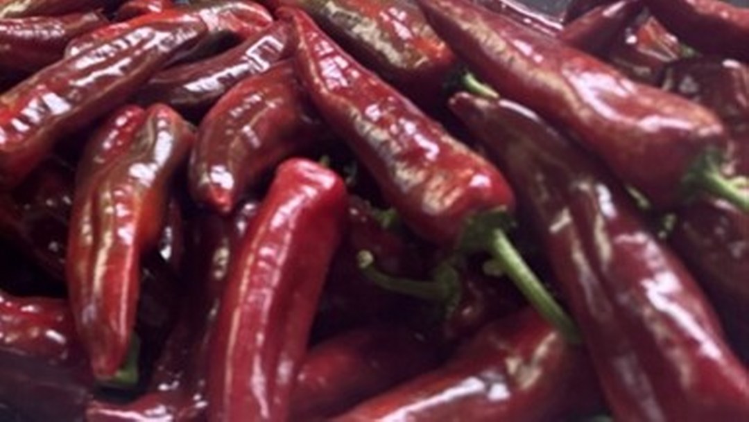 Türkiye’nin biber ihracatının yüzde 74’ü Batı Akdeniz’den