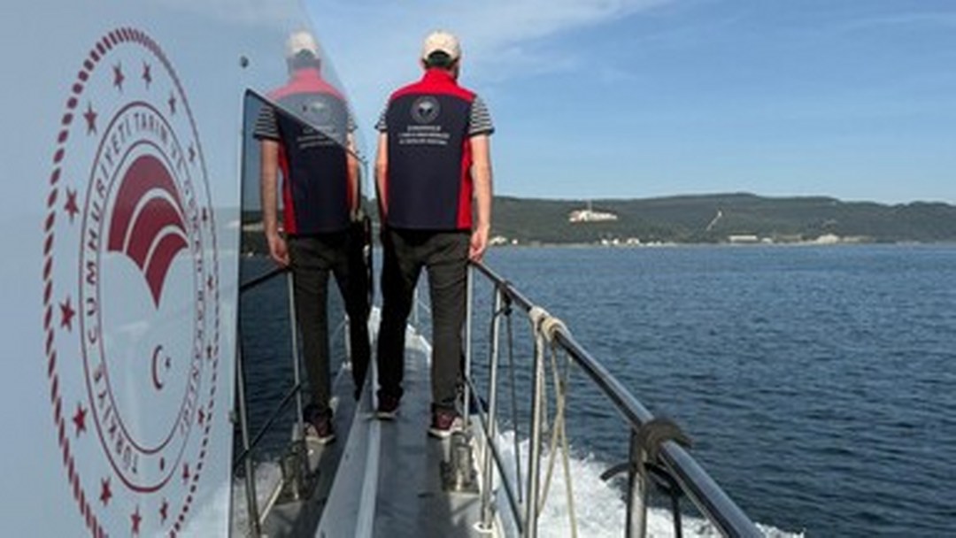 Türkiye’de geçen yıl 207 bin 371 balıkçılık denetimi yapıldı