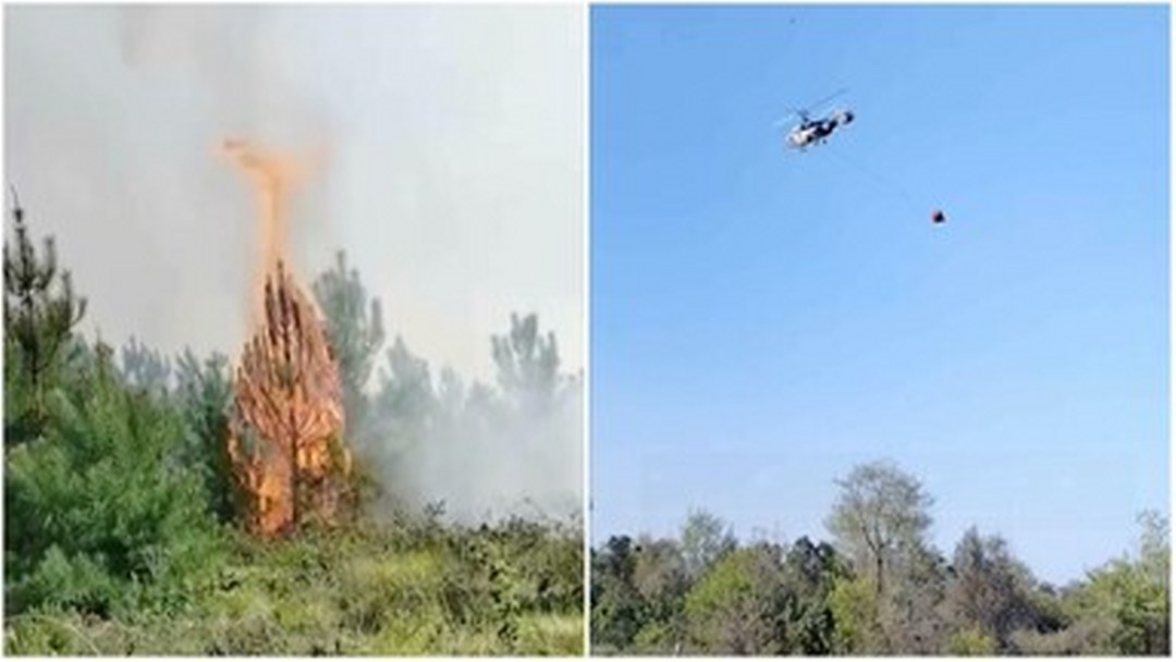Beykoz’da ormanlık alanda çıkan yangına müdahale ediliyor