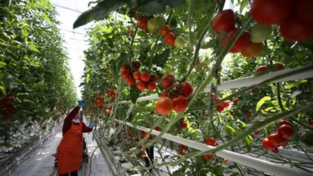 Marmara’daki iller kalkınmada İstanbul’un partneri olacak