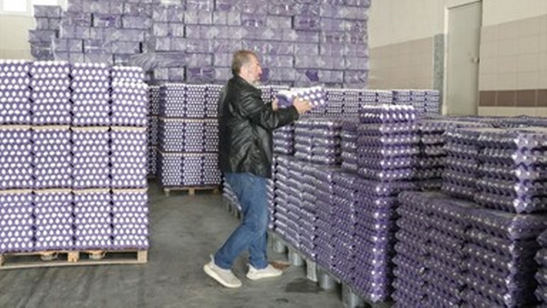 Yumurta üreticisi “mayıs çukuru”nda ihracat kotasının artmasıyla nefes aldı