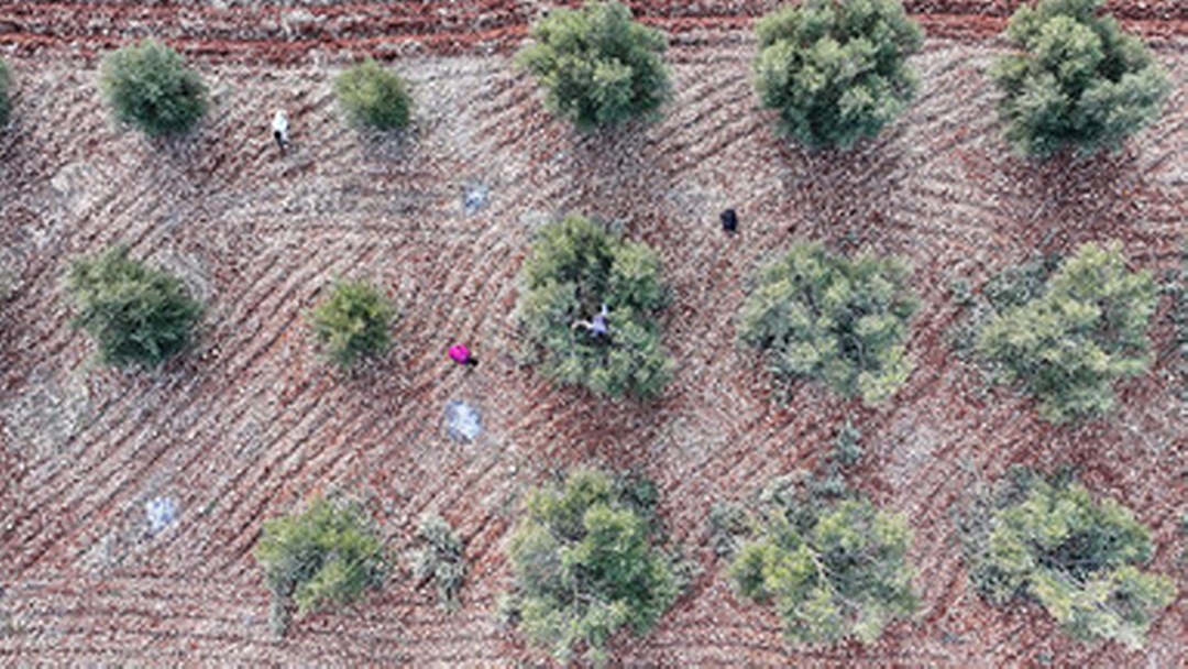 Güneydoğu’daki 9 ilin üretim çeşitliliğini artıracak yatırımlar teşviklerle ivme kazanacak
