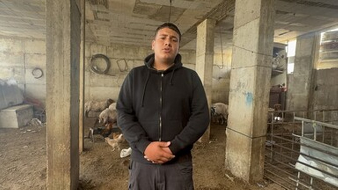 Filistin topraklarını gasbeden İsraillilerin saldırıları, Filistinlileri geçim kaynaklarından koparıyor