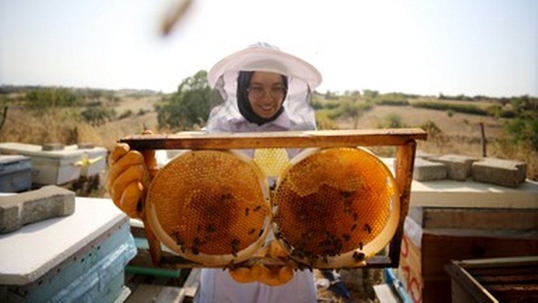 Türk balı yılın ilk çeyreğinde 31 ülkede alıcı buldu