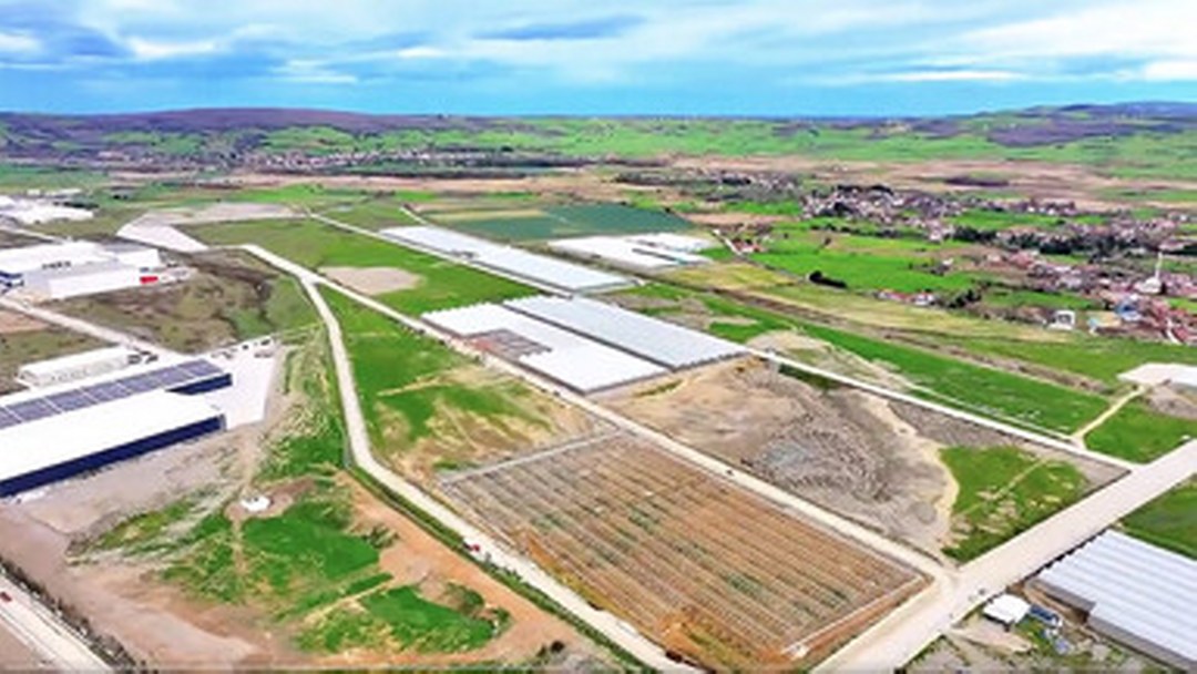 Samsun Bafra Sera Organize Tarım Bölgesi’nden ekonomiye yıllık 1,5 milyar lira katkı