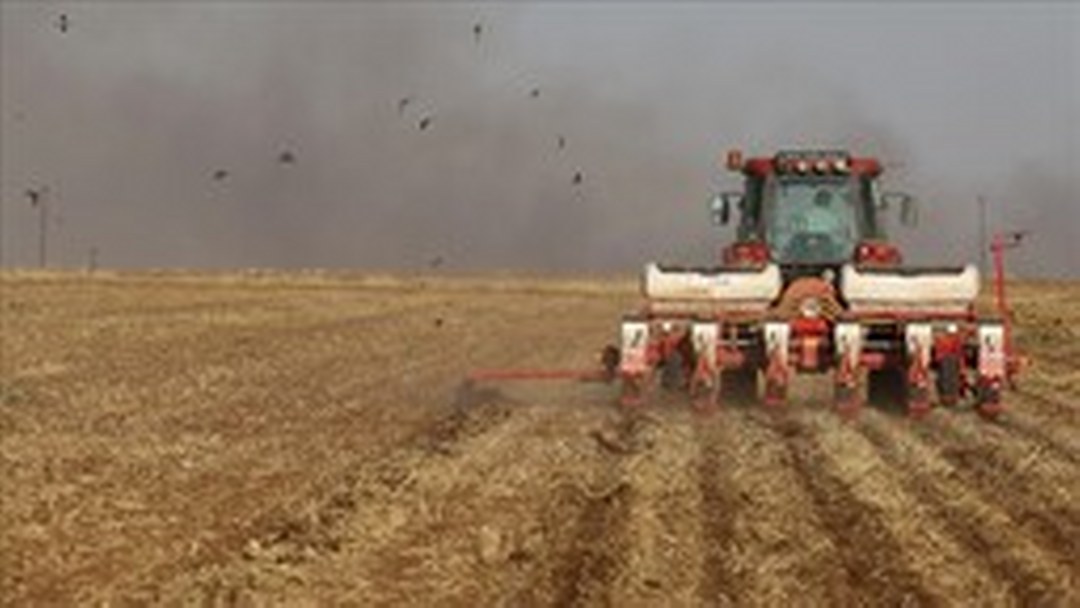 Tarımsal girdi fiyat endeksi şubatta yıllık bazda yüzde 31,55, aylık yüzde 3,1 arttı