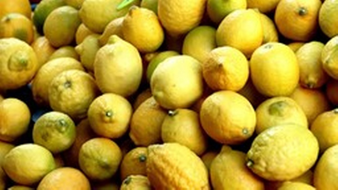 Türkiye yılın ilk çeyreğinde en fazla mandalinayı Irak’a, limonu Rusya’ya sattı