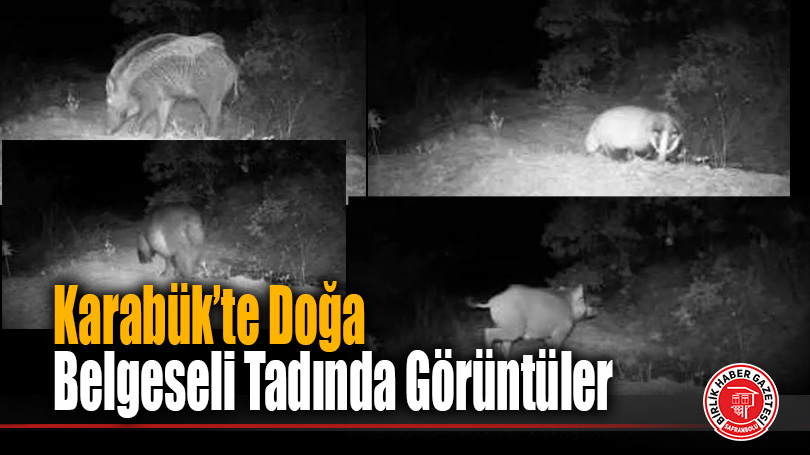 Karabük’te Doğa Belgeseli Tadında Görüntüler