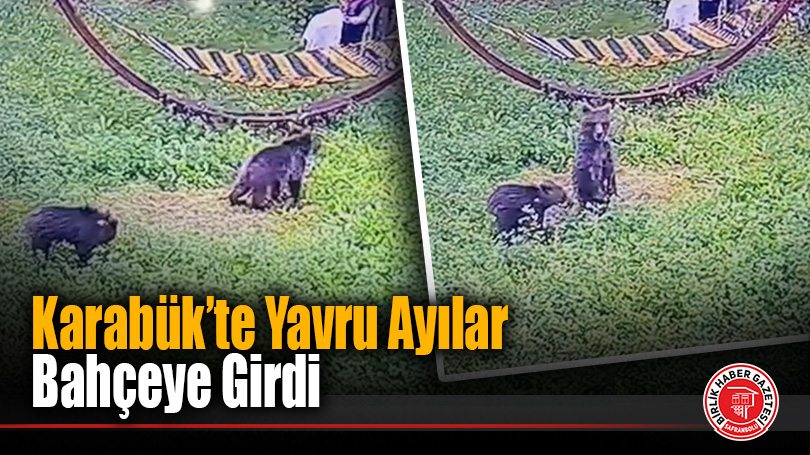 Karabük’te Yavru Ayılar Bahçeye Girdi