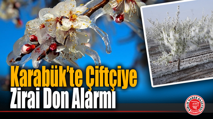 Karabük’te Çiftçiye Don Alarmı