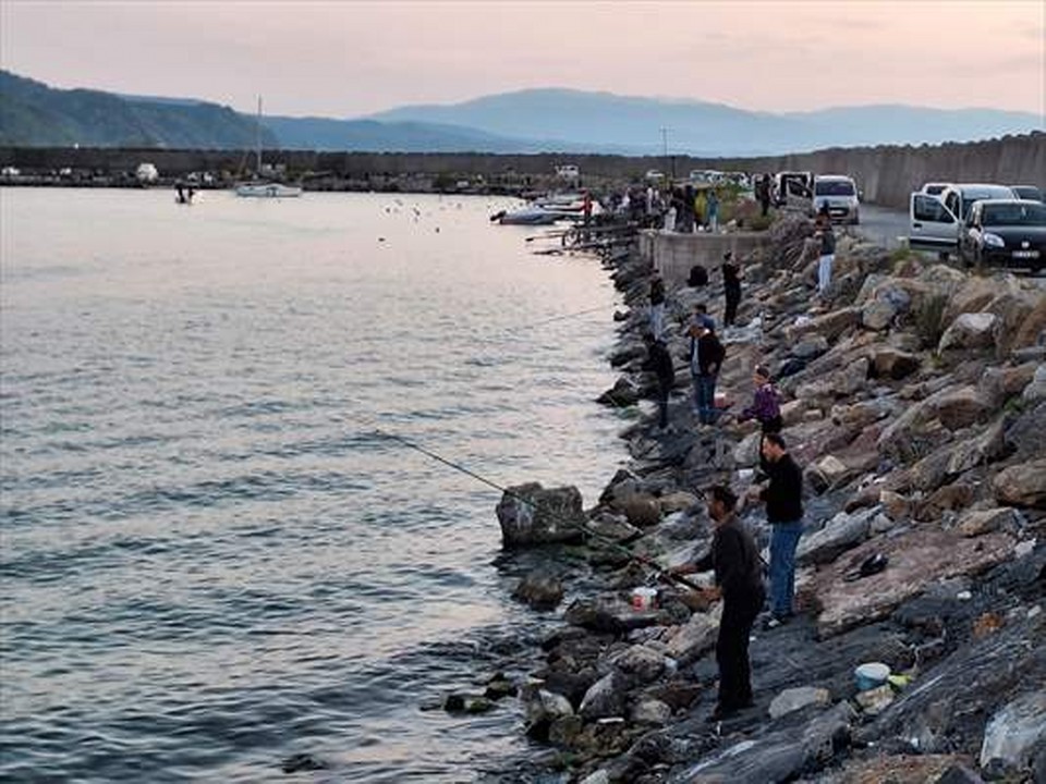 Zonguldak’ta olta balıkçıları bol miktarda istavrit avladı