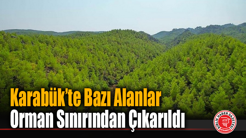 Karabük’te Bazı Alanlar Orman Sınırından Çıkarıldı