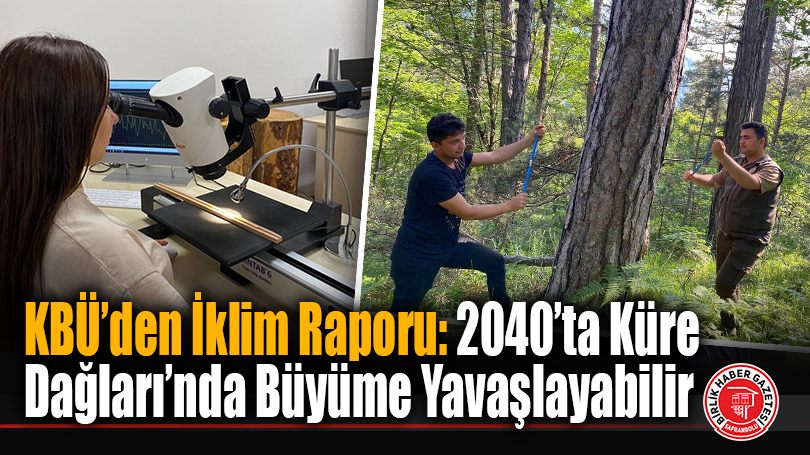 KBÜ’den İklim Raporu: 2040’ta Küre Dağları’nda Büyüme Yavaşlayabilir