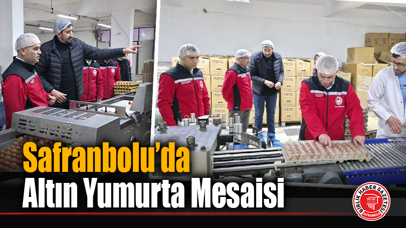 Safranbolu’da Altın Yumurta Mesaisi