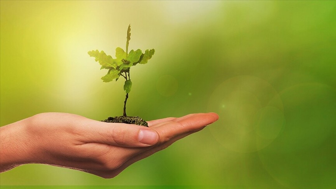 COP31 kapsamında “çevre ve iklim medya turlarının” ikincisi başlıyor