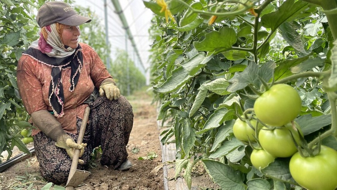 Antalya sebze-meyve üretiminde Türkiye’nin lideri