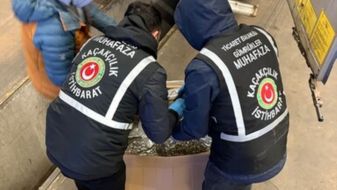 Gümrükler Muhafaza ekipleri son bir haftada toplam 659 kilogram uyuşturucu ele geçirdi