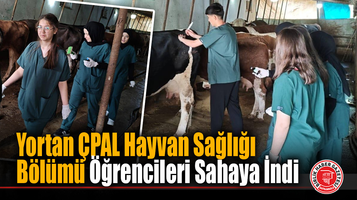 Yortan ÇPAL Hayvan Sağlığı Öğrencileri Sahaya İndi