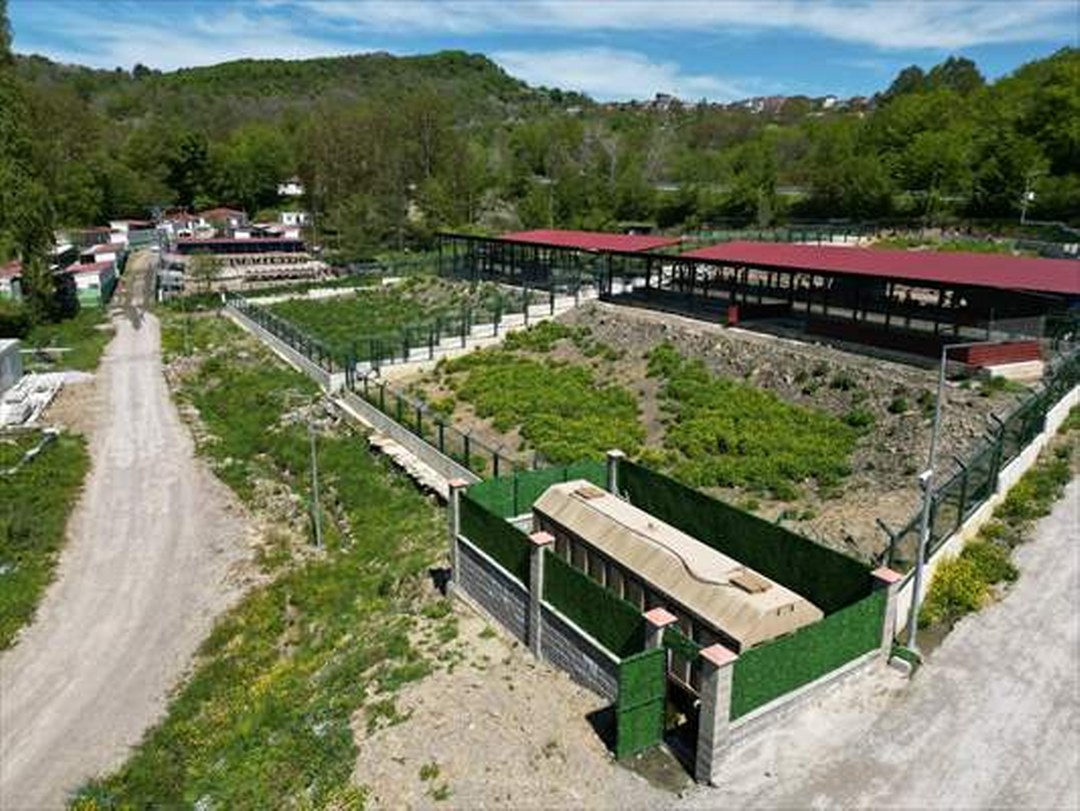 Bartın’da sahipsiz hayvanlar, 48 dönümlük alanda tedavi ve rehabilite ediliyor