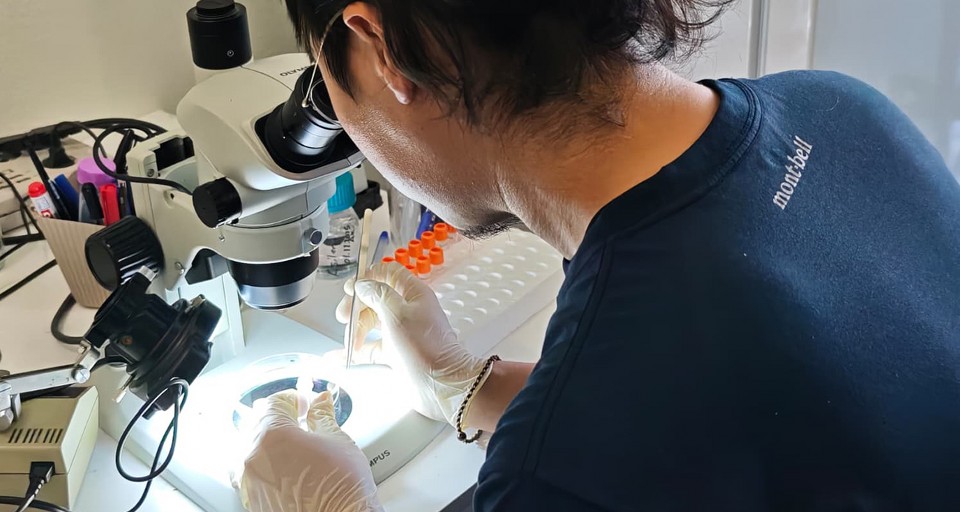Türkiye ve Japonya’dan kene tehdidine karşı ortak mücadele